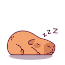 Tired capybara